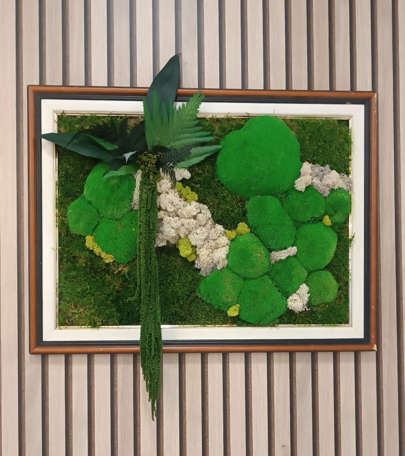 quadre-original-planta-preservada-regal